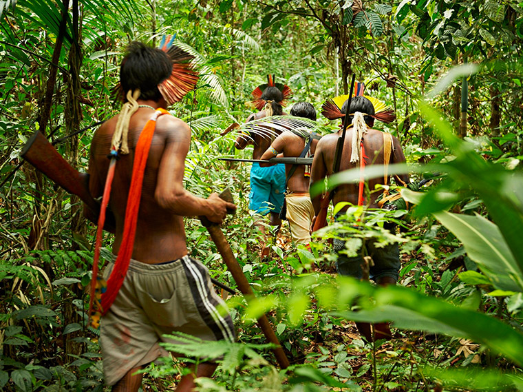 Pacajai REDD+ Project - Brazil